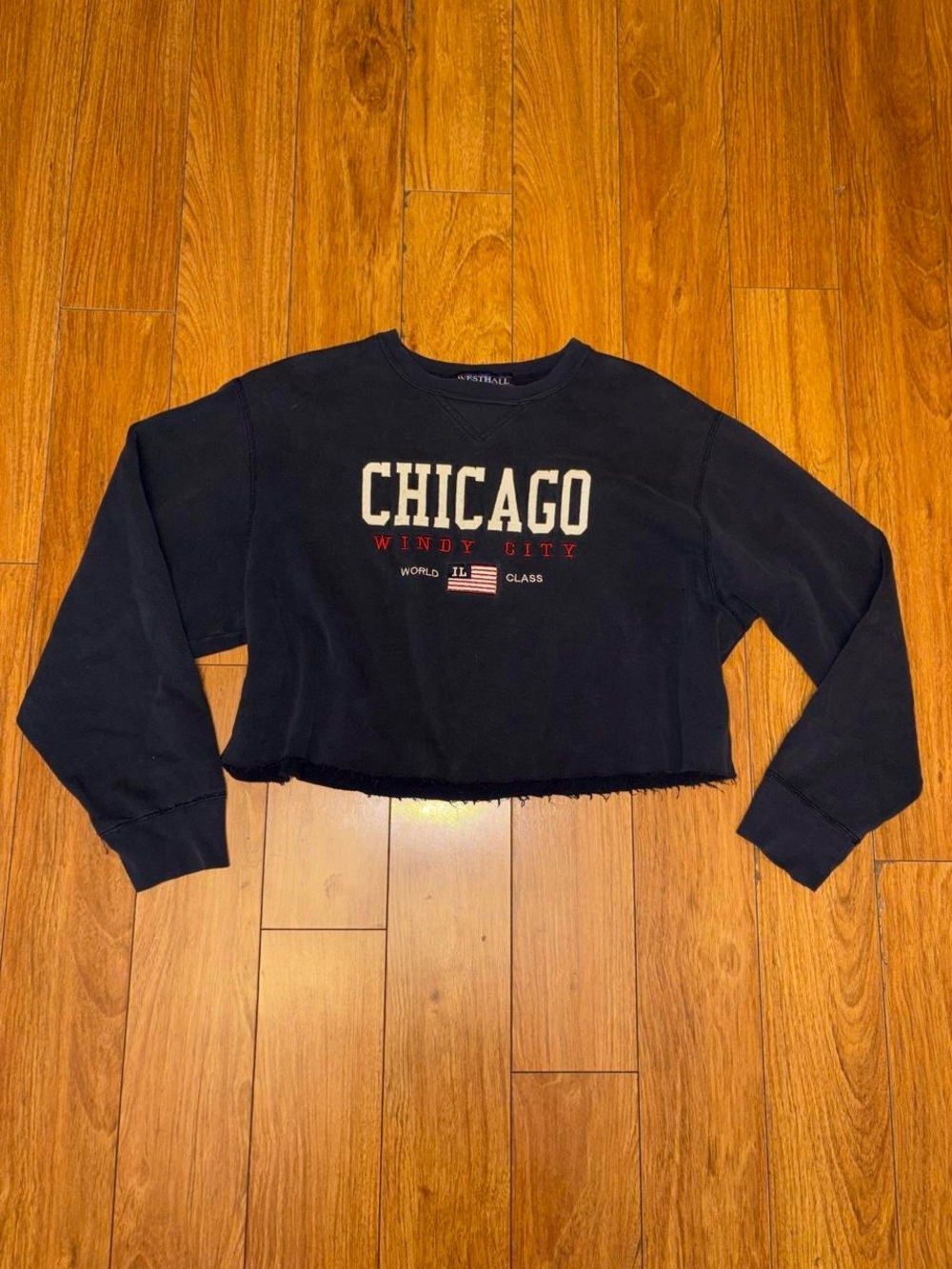 Chicago Windy City Cropped Sweatshirt - Black